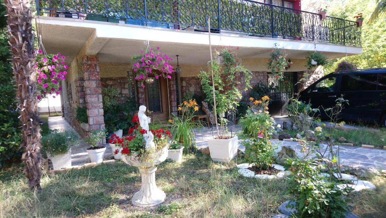 Appartement 48 M2 Avec Jardin Au Rdc Dans Villa A 5 Min A Pied Des Thermes De Vernet-Les-Bains, Location De Samedi A Samedi Zewnętrze zdjęcie